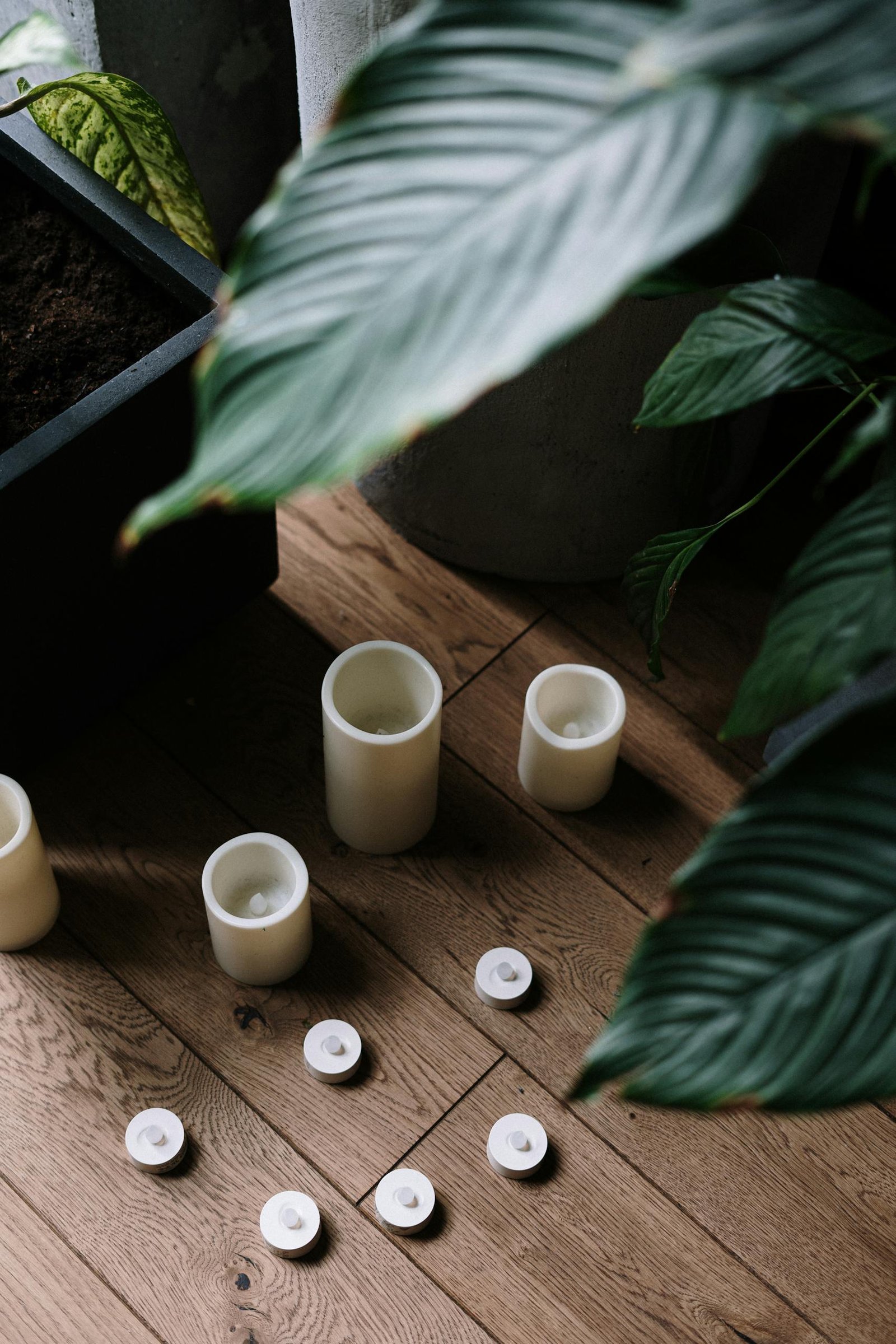 A serene indoor scene featuring candles and lush green leaves on a wooden floor.
